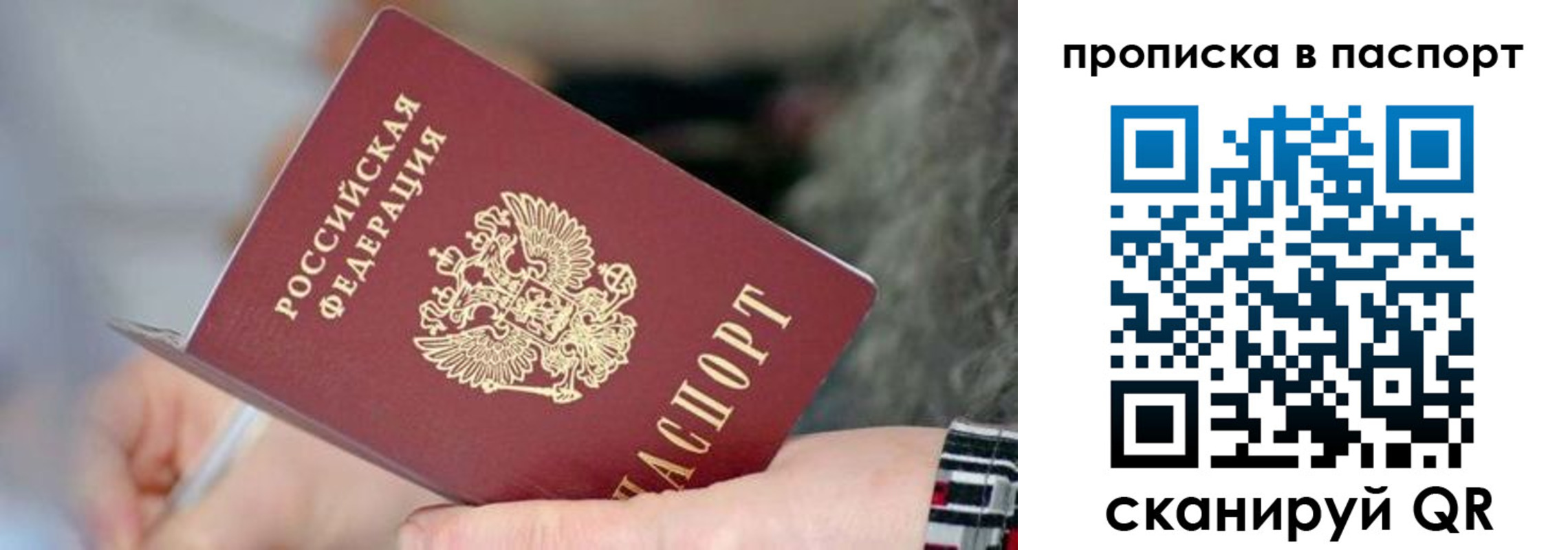 временная регистрация поиск в Всеволожске